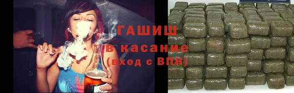 spice Богородск