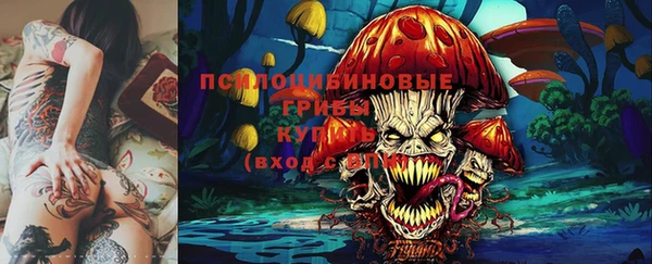 мяу мяу мука Бородино