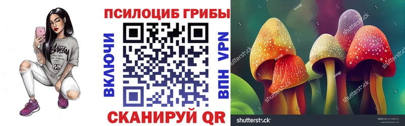 Псилоцибиновые грибы прущие грибы Пионерский